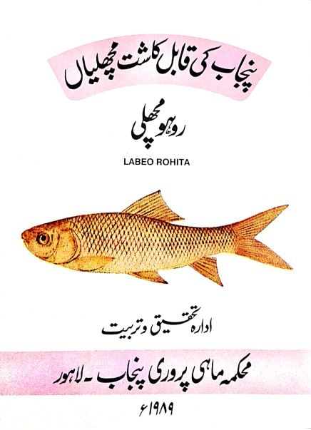 Punajb Culturable Fish Species Labeo Rohita